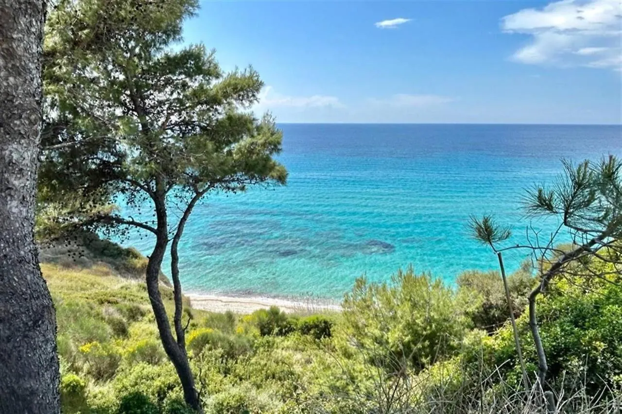 Skála Foúrkas Toula Villa On The Beach Fourka 3 Bedrooms 7 Guests יוון